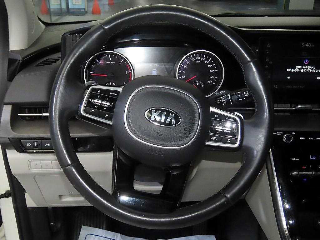 KIA Carnival - Vista 8