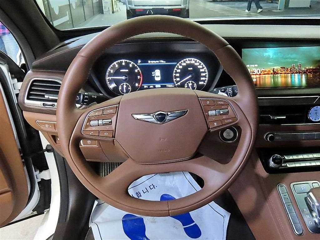 Genesis G90 - Vista 8
