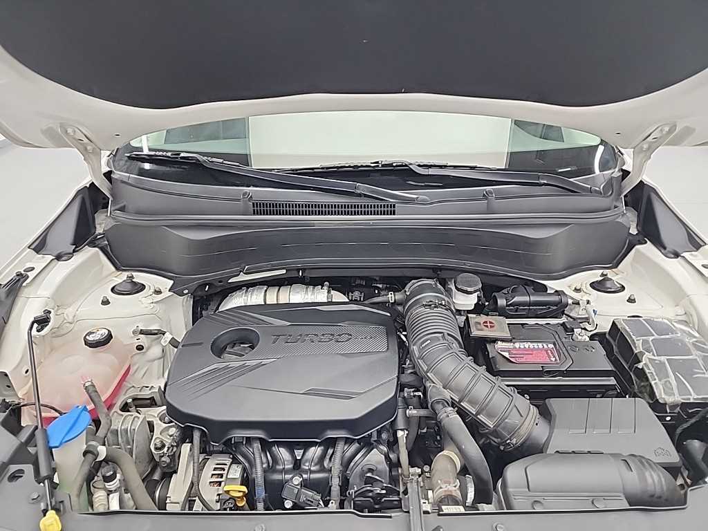 KIA Seltos - Vista 5
