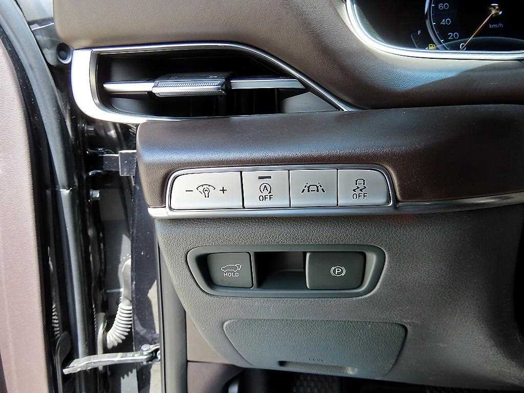 Genesis GV80 - Vista 12