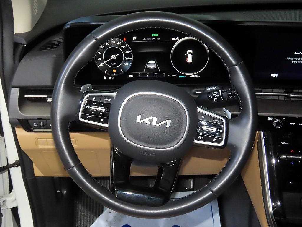 KIA Carnival - Vista 8