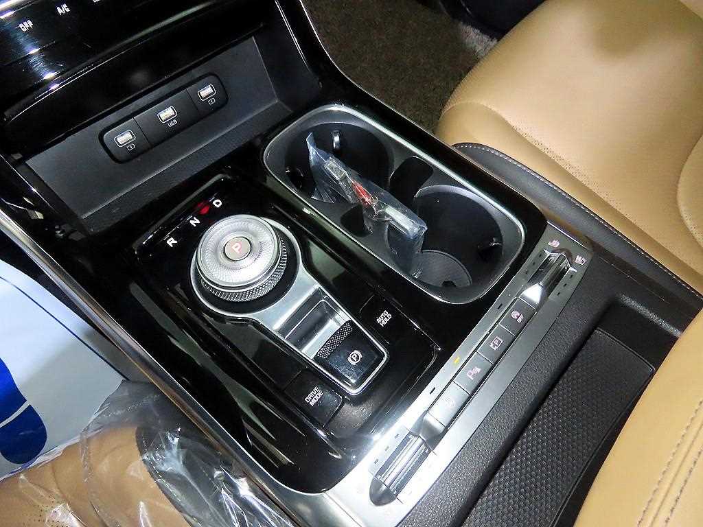 KIA Carnival - Vista 12