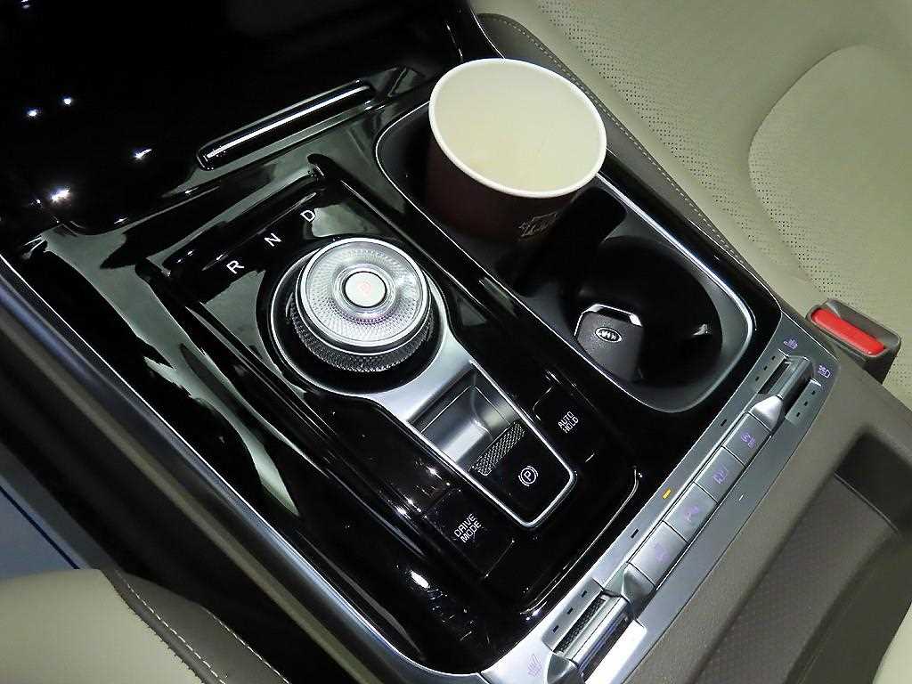KIA Carnival - Vista 12