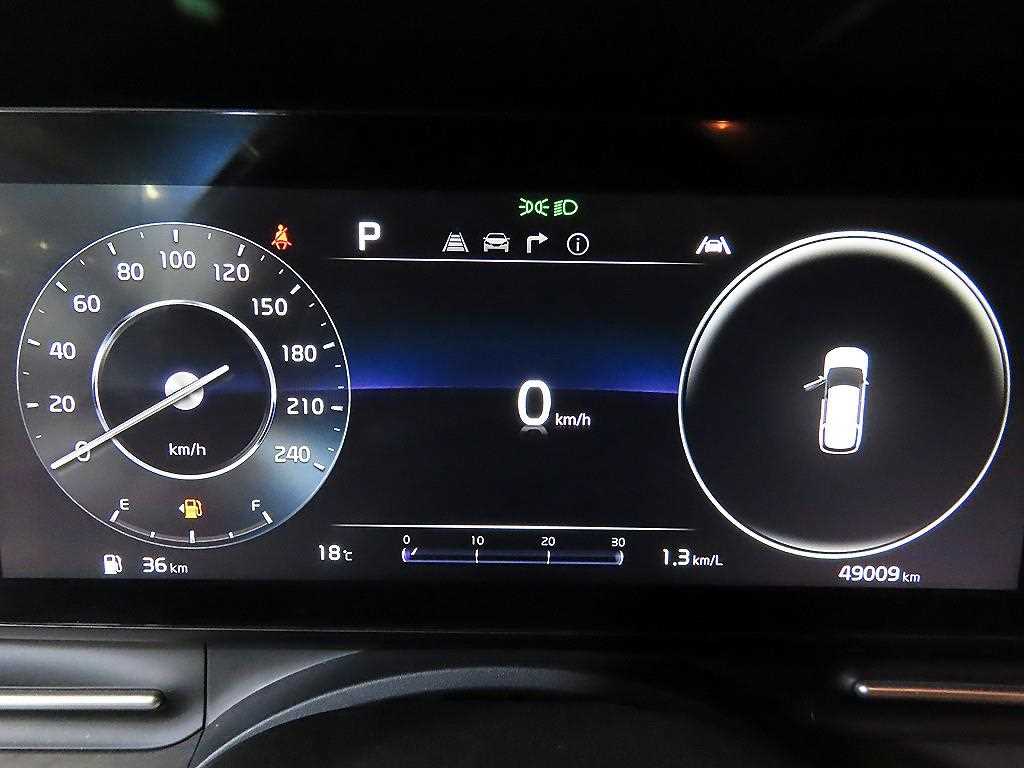 KIA Carnival - Vista 9