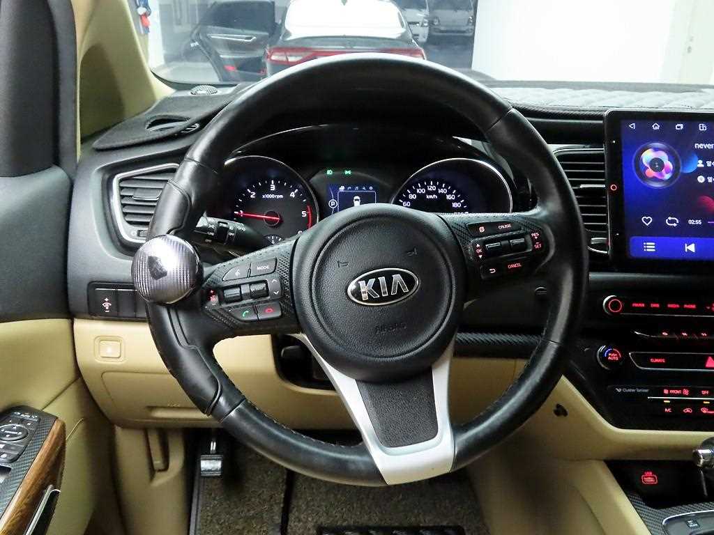 KIA Carnival - Vista 8