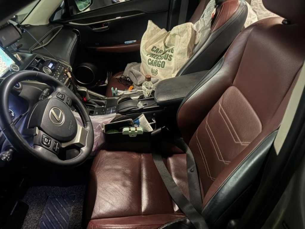 Lexus NX - Vista 4