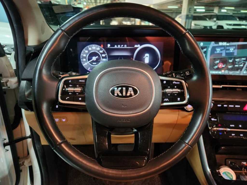 KIA Carnival - Vista 8