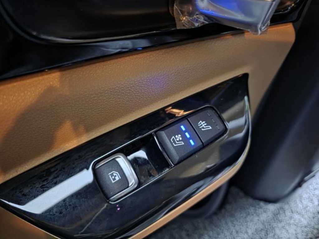 KIA Carnival - Vista 9