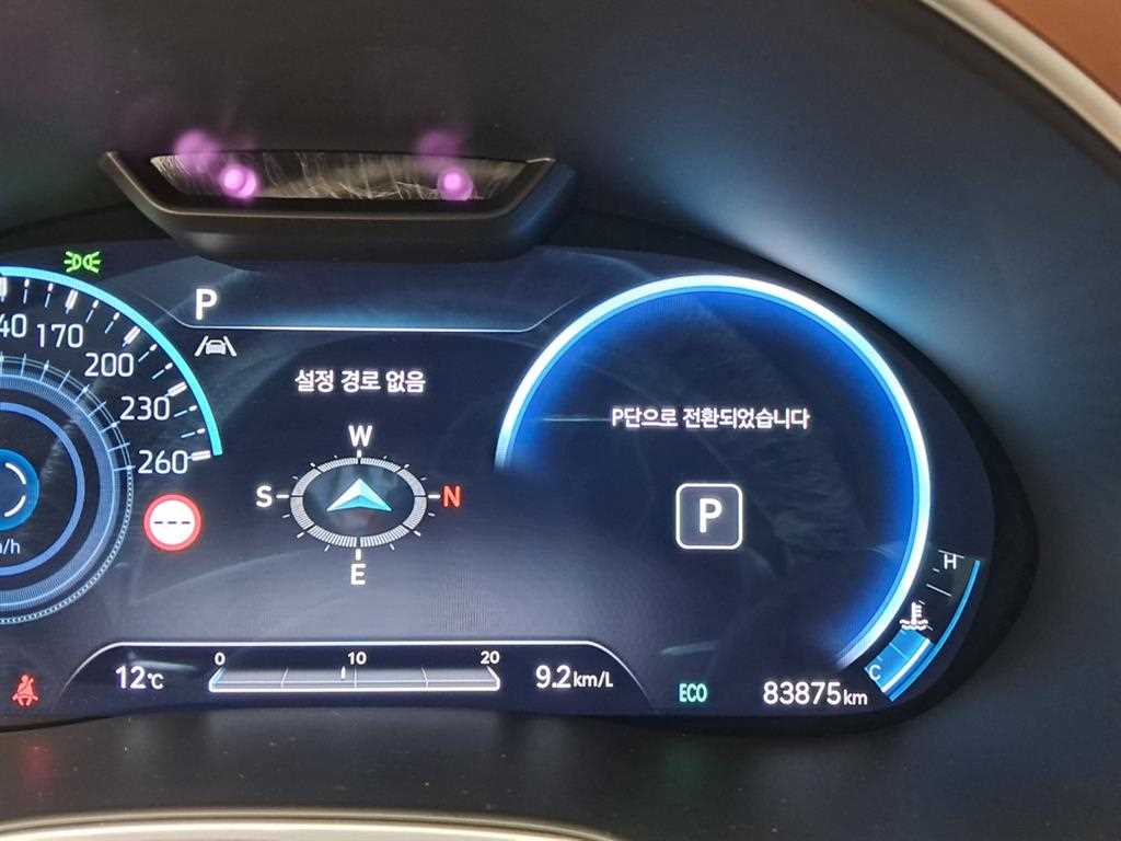 Genesis G80 - Vista 8