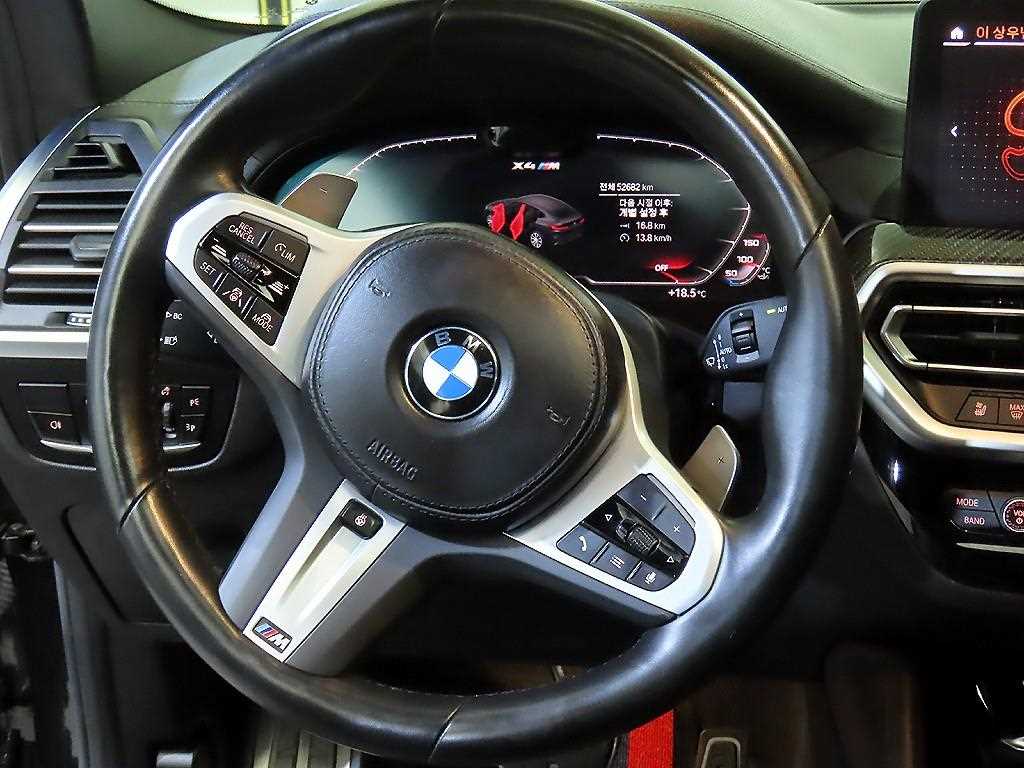 BMW X4 - Vista 8