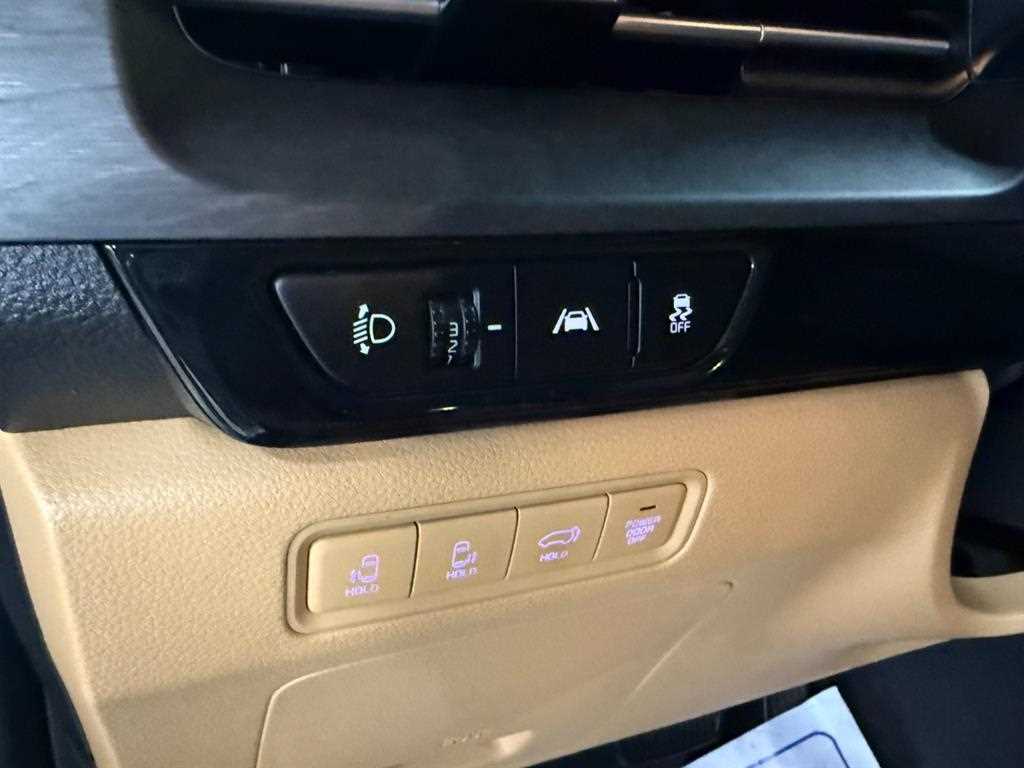 KIA Carnival - Vista 11