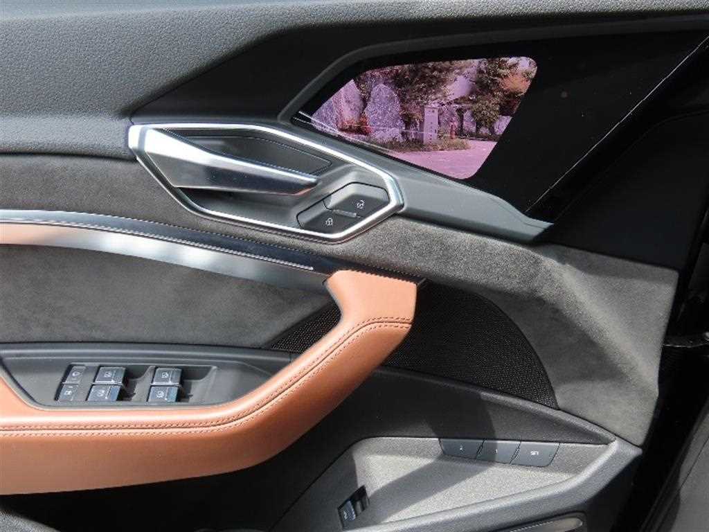 Audi e-Tron - Vista 12