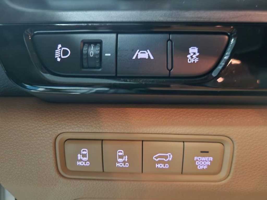 KIA Carnival - Vista 12