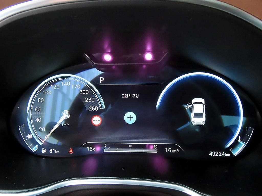 Genesis G80 - Vista 9