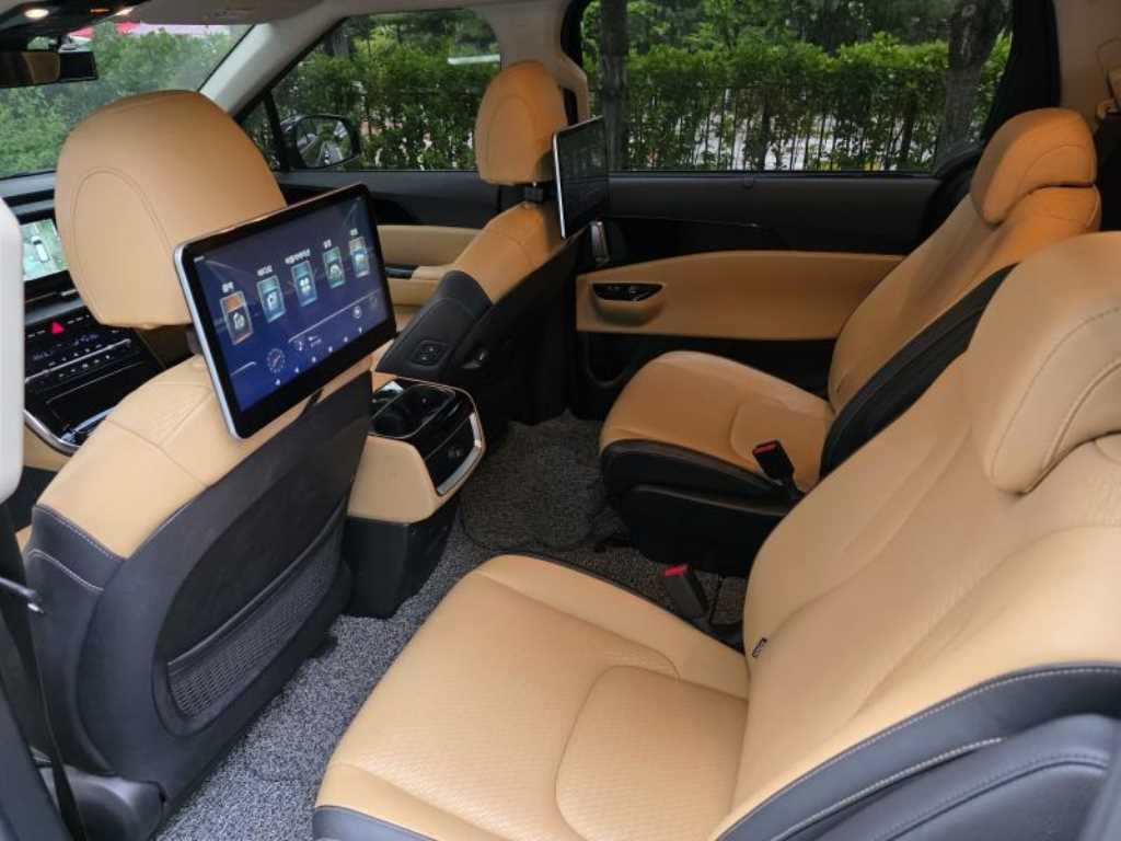 KIA Carnival - Vista 7