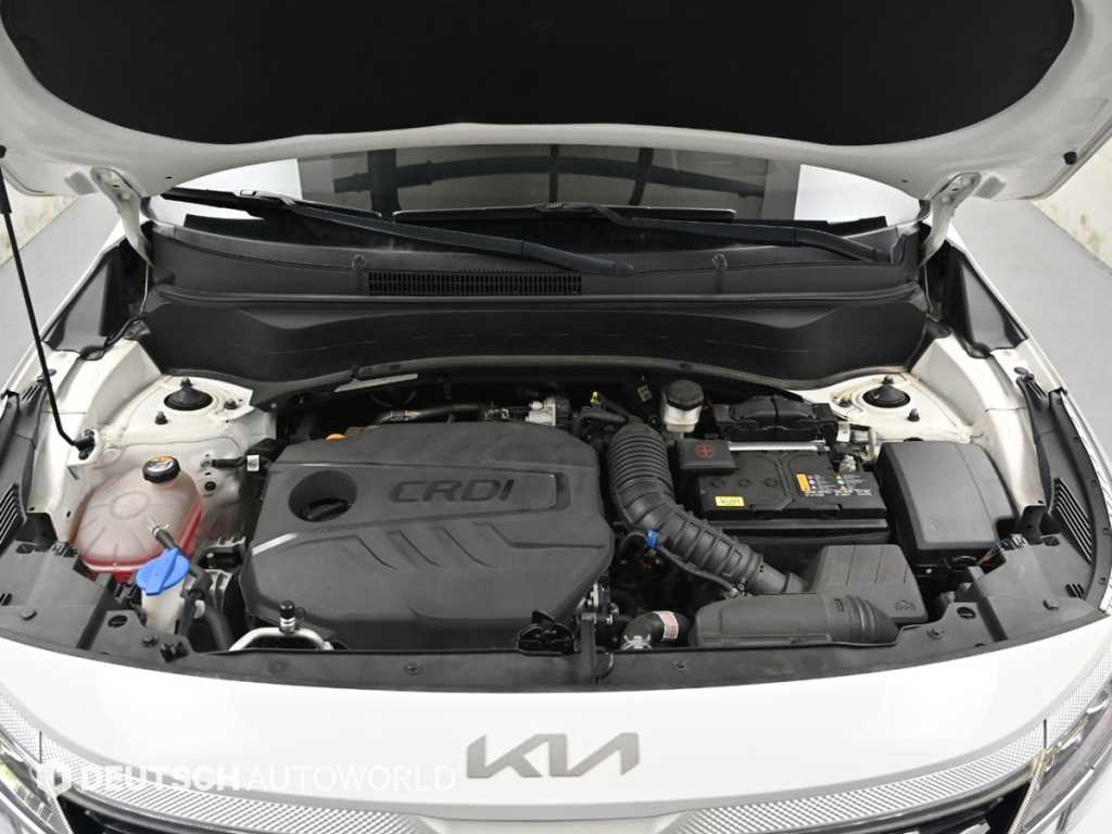 KIA Seltos - Vista 6