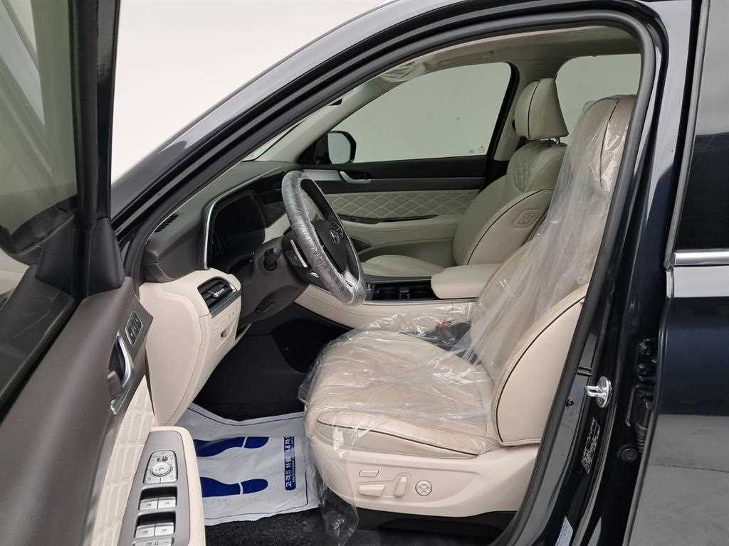 HYUNDAI Palisade - Vista 11