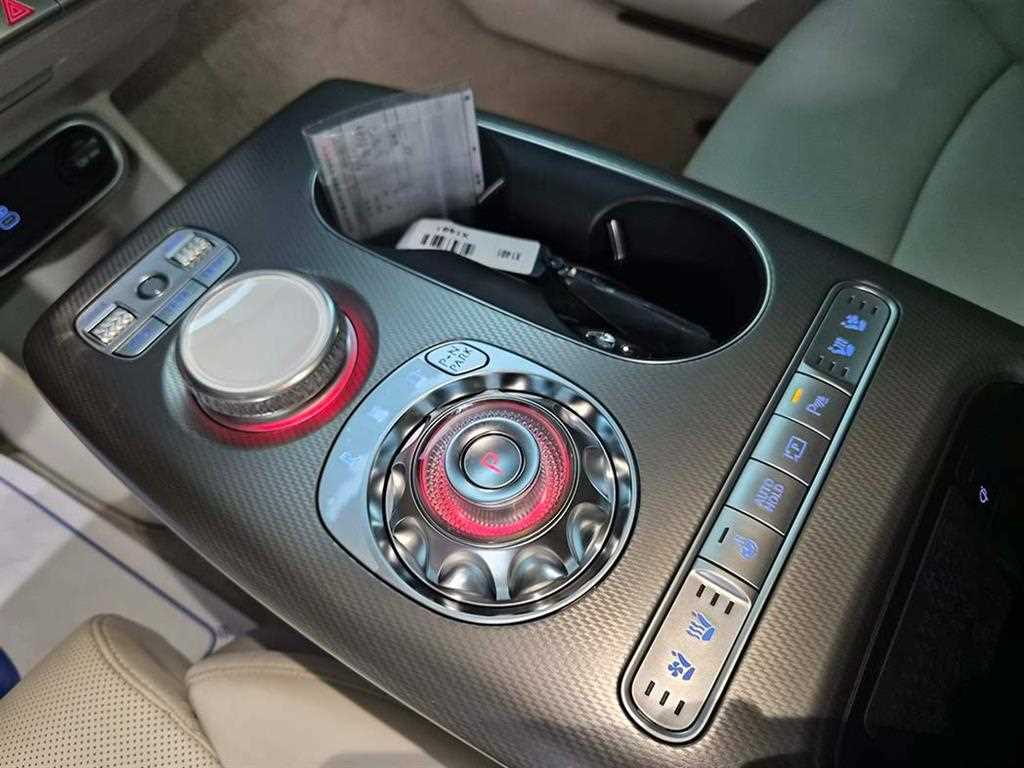 Genesis GV60 - Vista 11