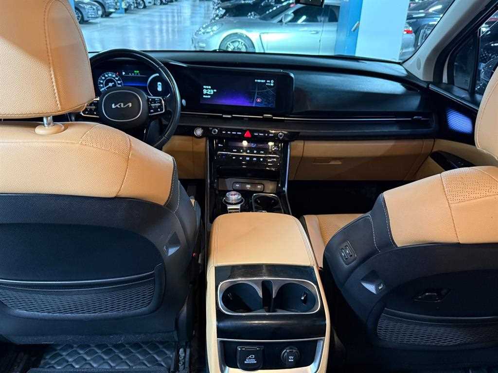 KIA Carnival - Vista 8