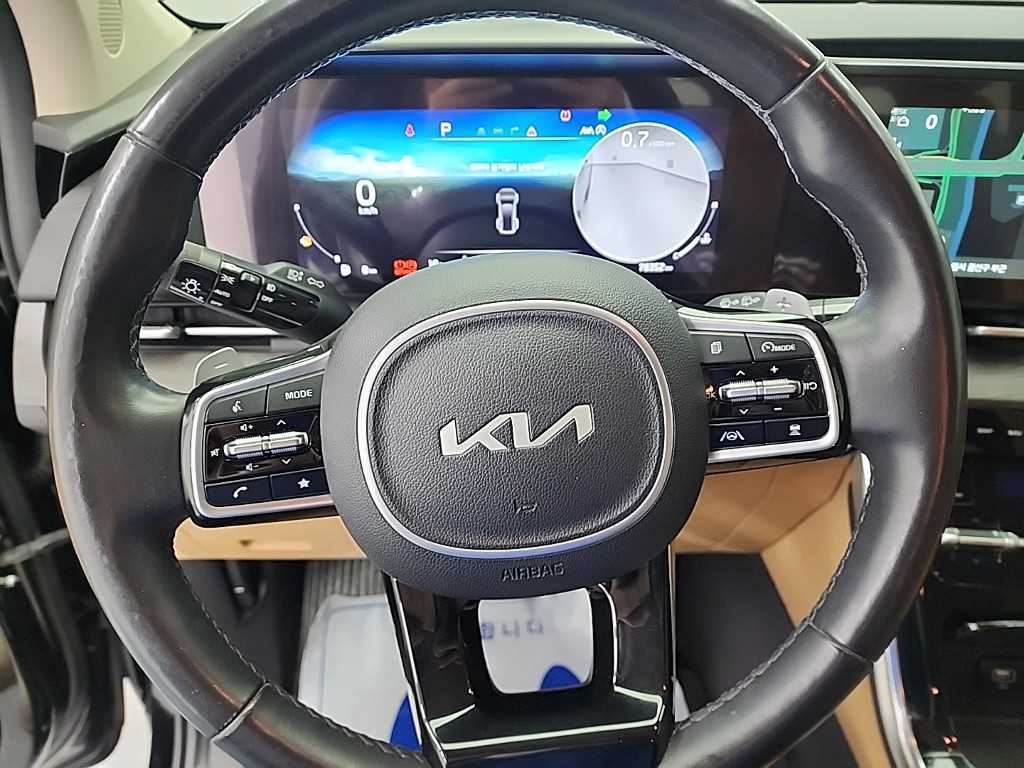 KIA Carnival - Vista 9