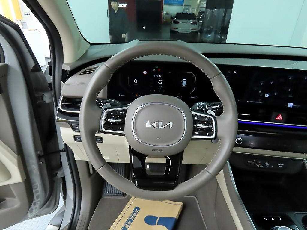 KIA Carnival - Vista 9