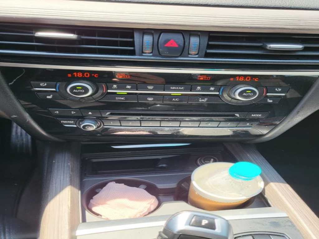 BMW X5 - Vista 12