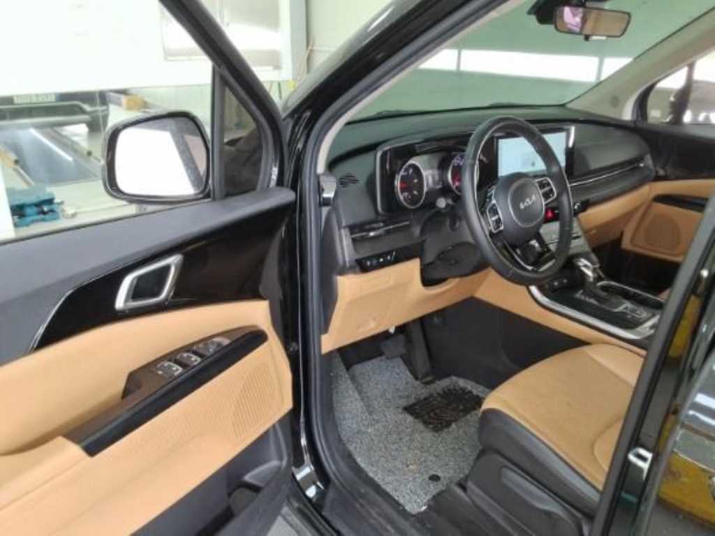 KIA Carnival - Vista 9