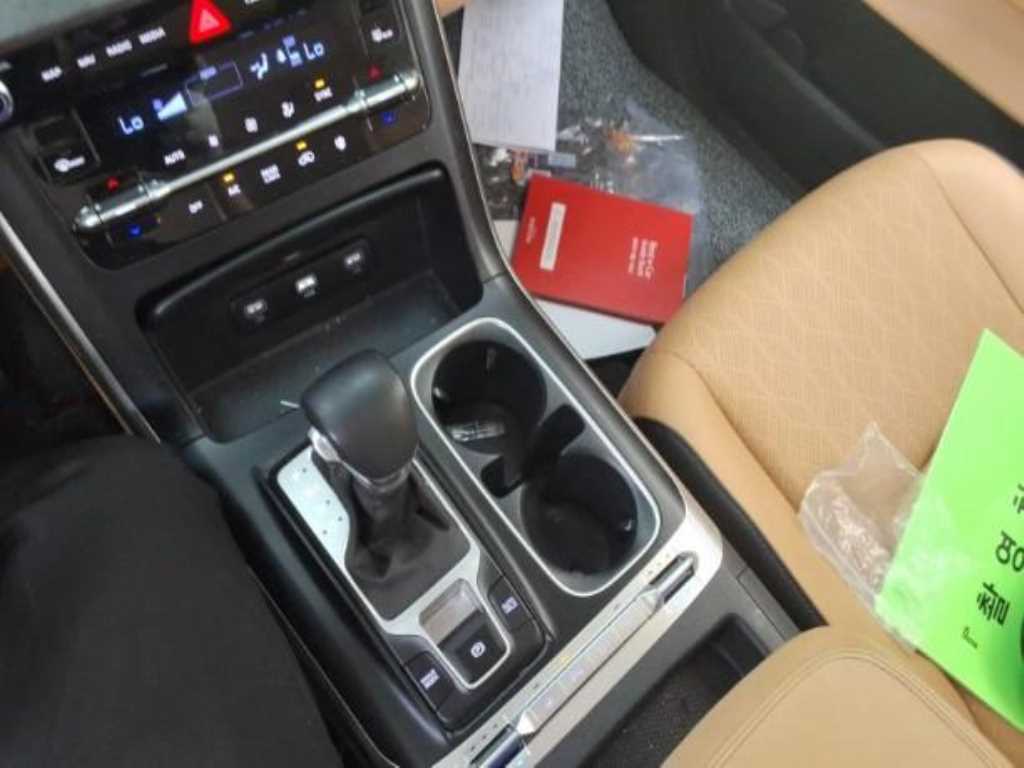 KIA Carnival - Vista 8