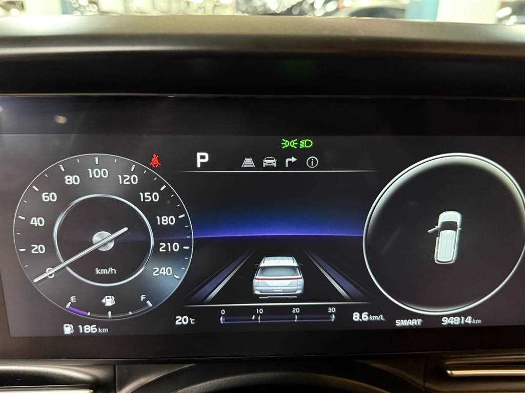 KIA Carnival - Vista 12