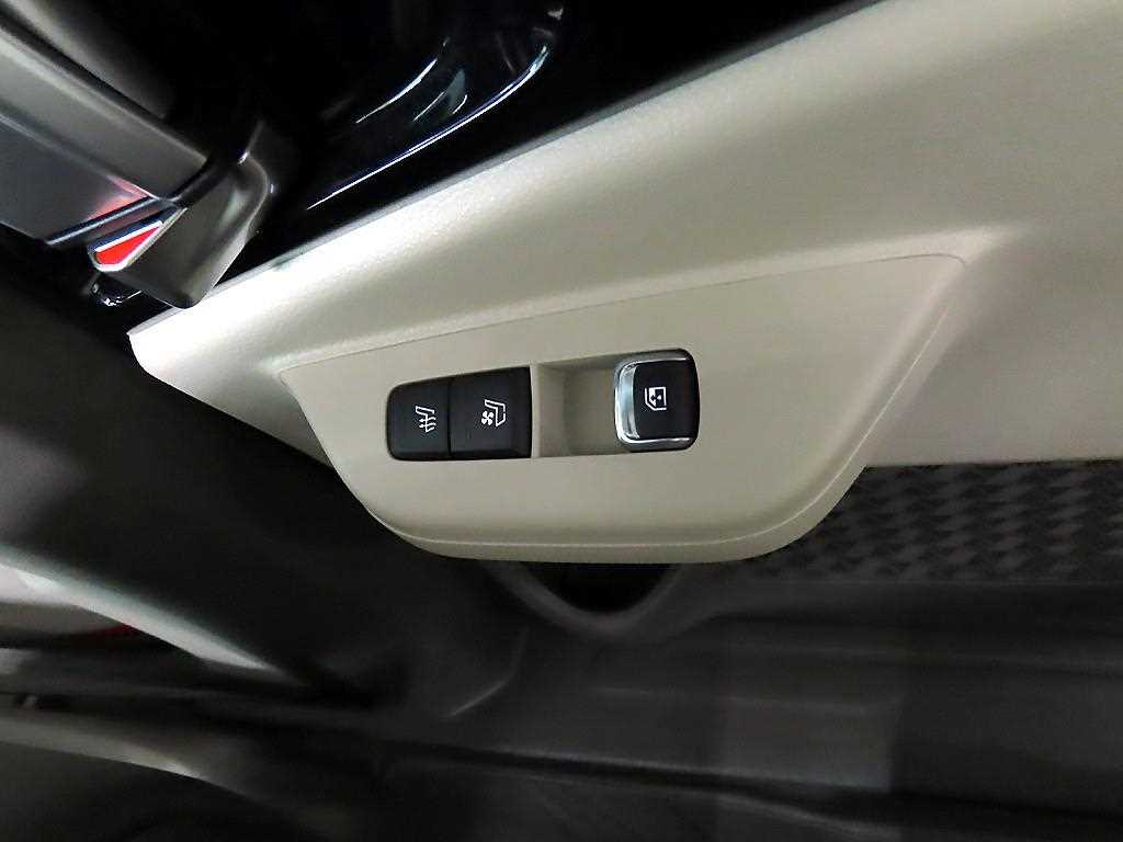 KIA Carnival - Vista 12