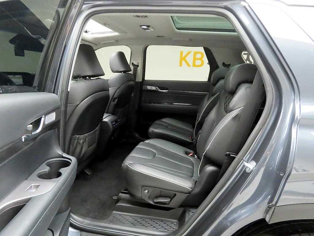 HYUNDAI Palisade - Vista 12