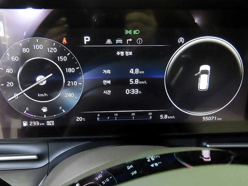 KIA Carnival - Vista 9