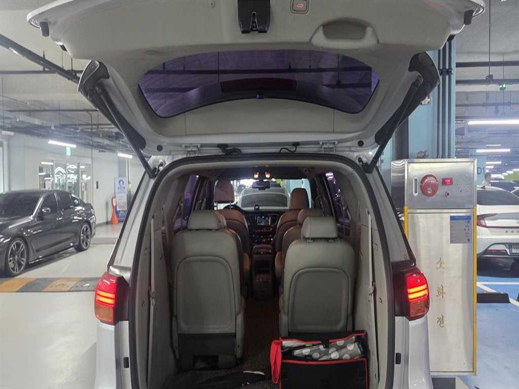 KIA Carnival - Vista 8