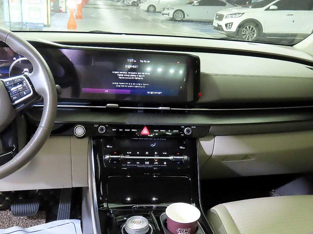 KIA Carnival - Vista 11