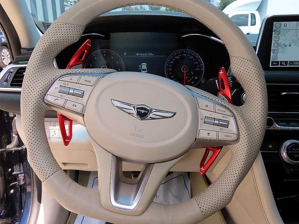 Genesis G70 - Vista 8