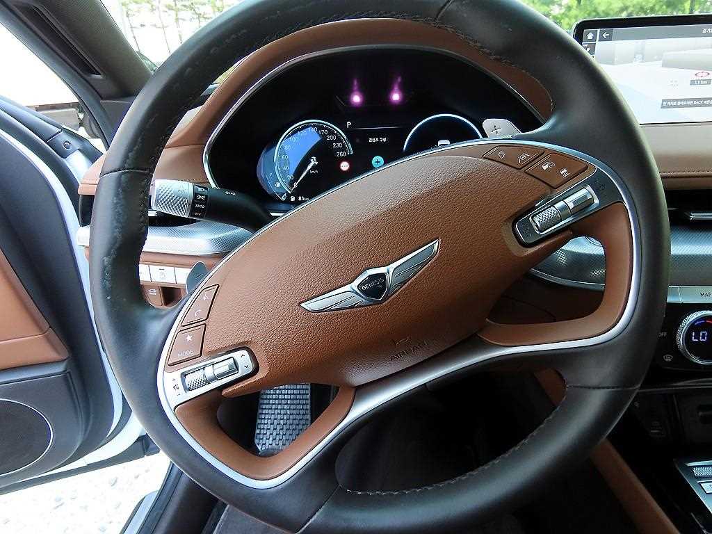 Genesis G80 - Vista 8