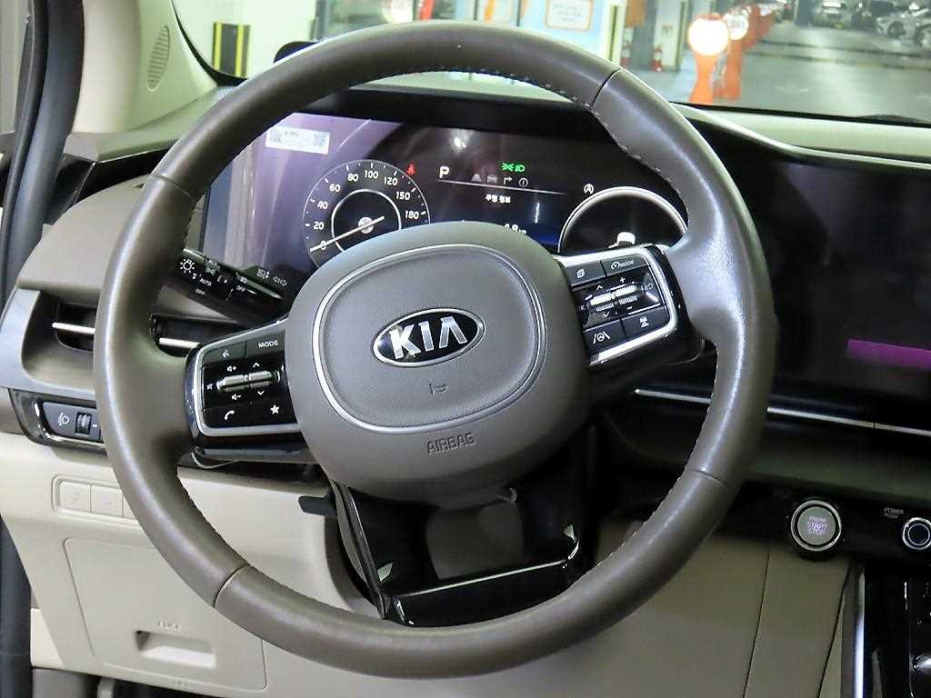 KIA Carnival - Vista 8