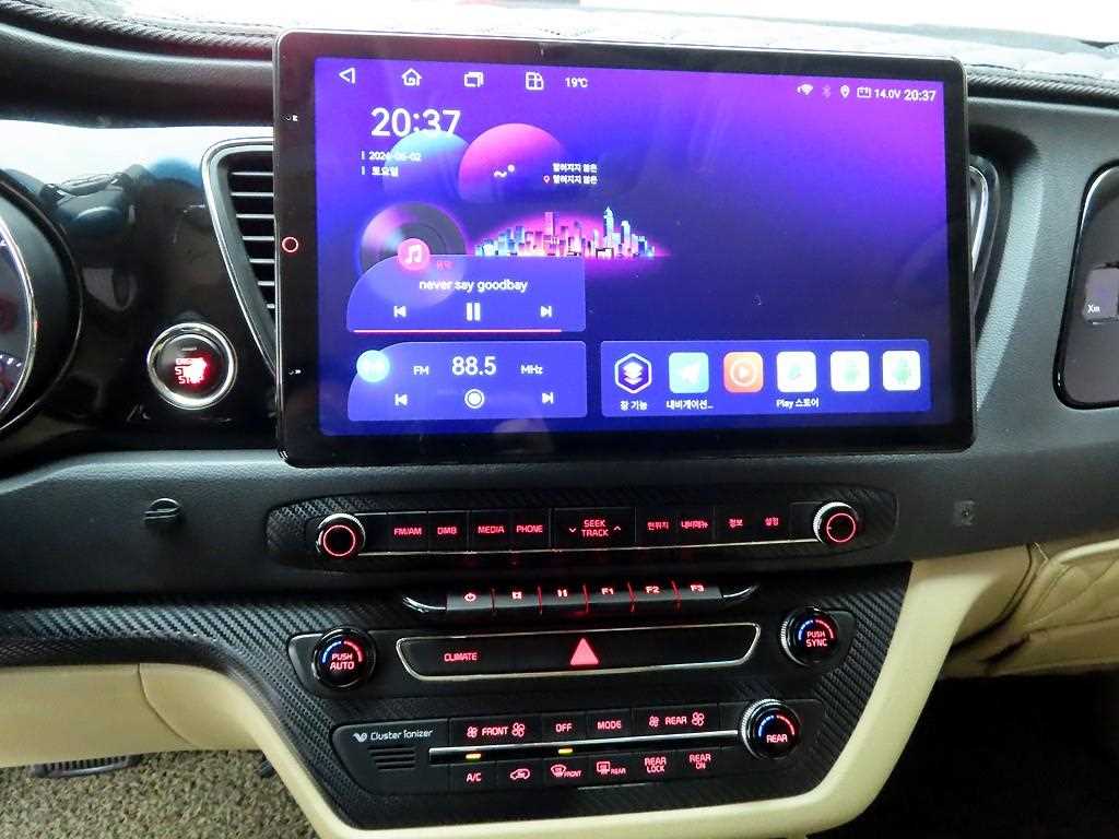 KIA Carnival - Vista 10