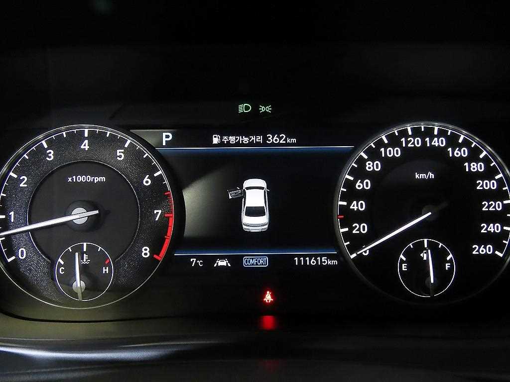 Genesis G90 - Vista 9