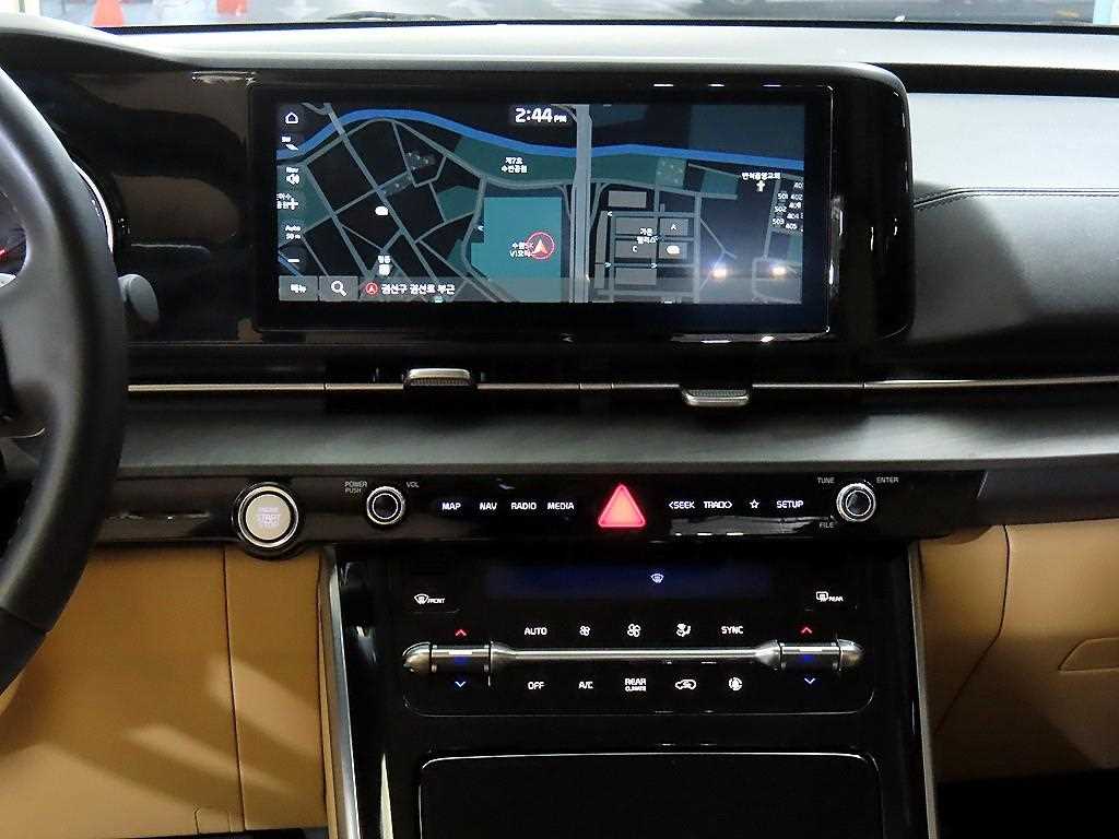 KIA Carnival - Vista 12
