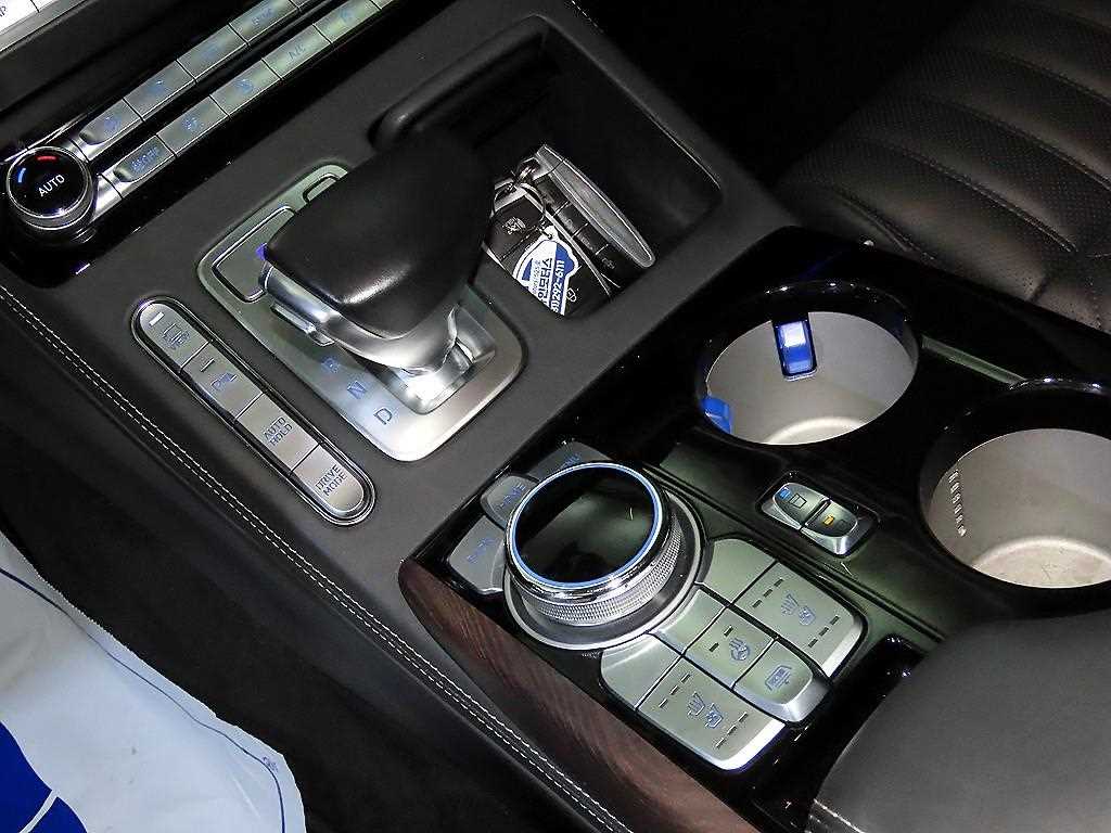Genesis G90 - Vista 12