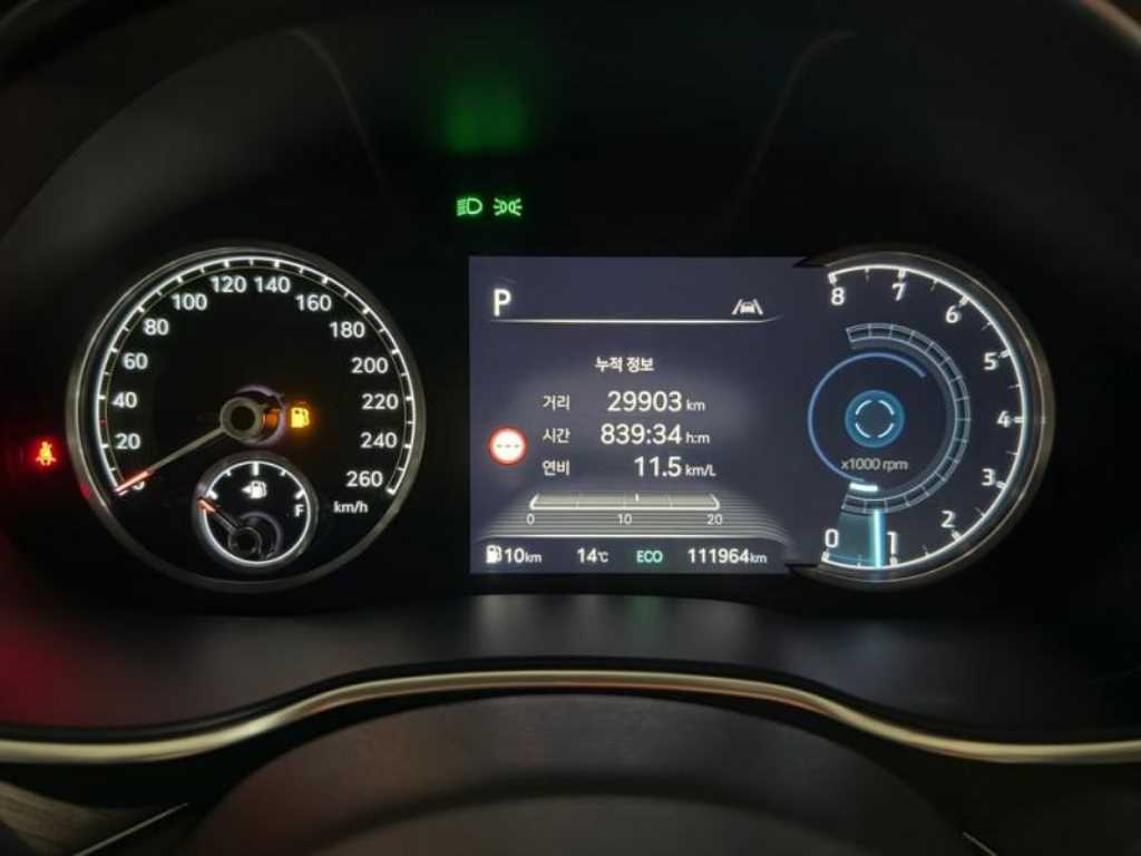 Genesis G80 - Vista 9