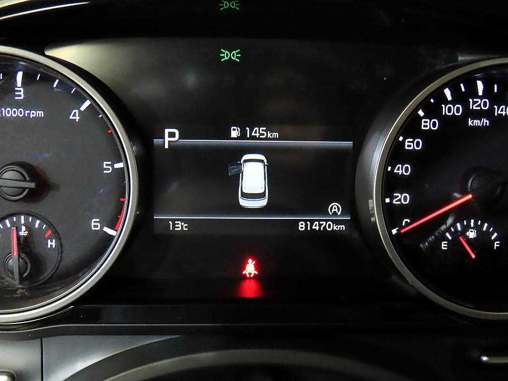 KIA Carnival - Vista 10