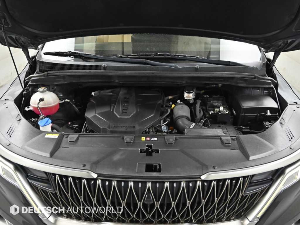 KIA Carnival - Vista 6