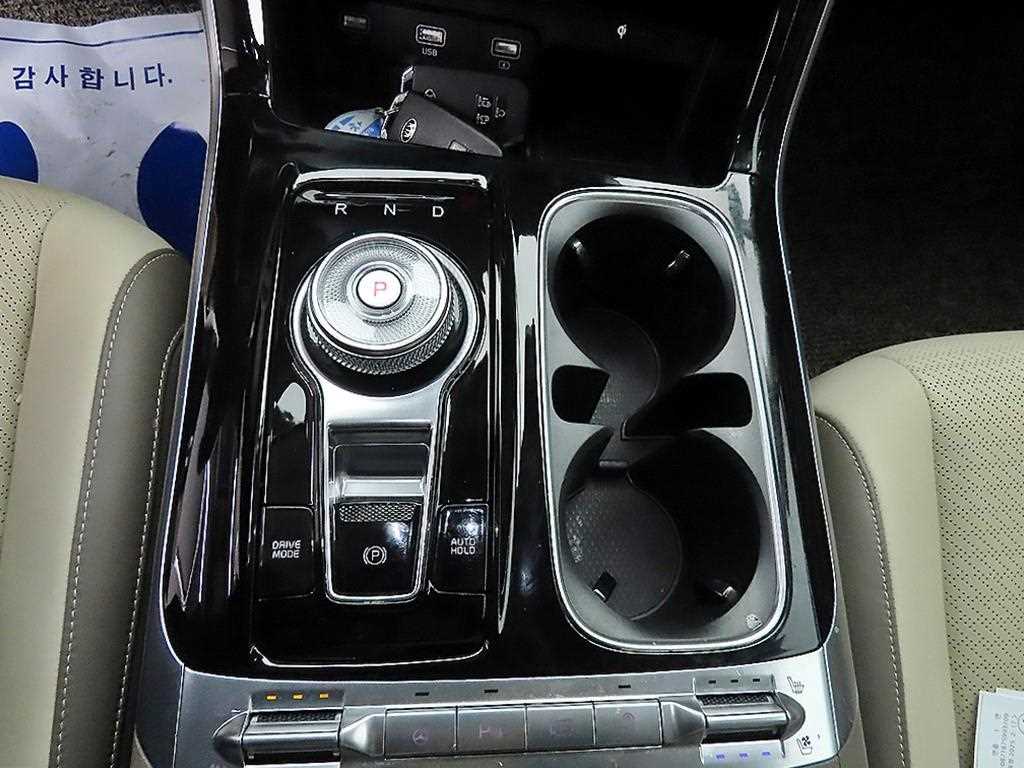 KIA Carnival - Vista 10