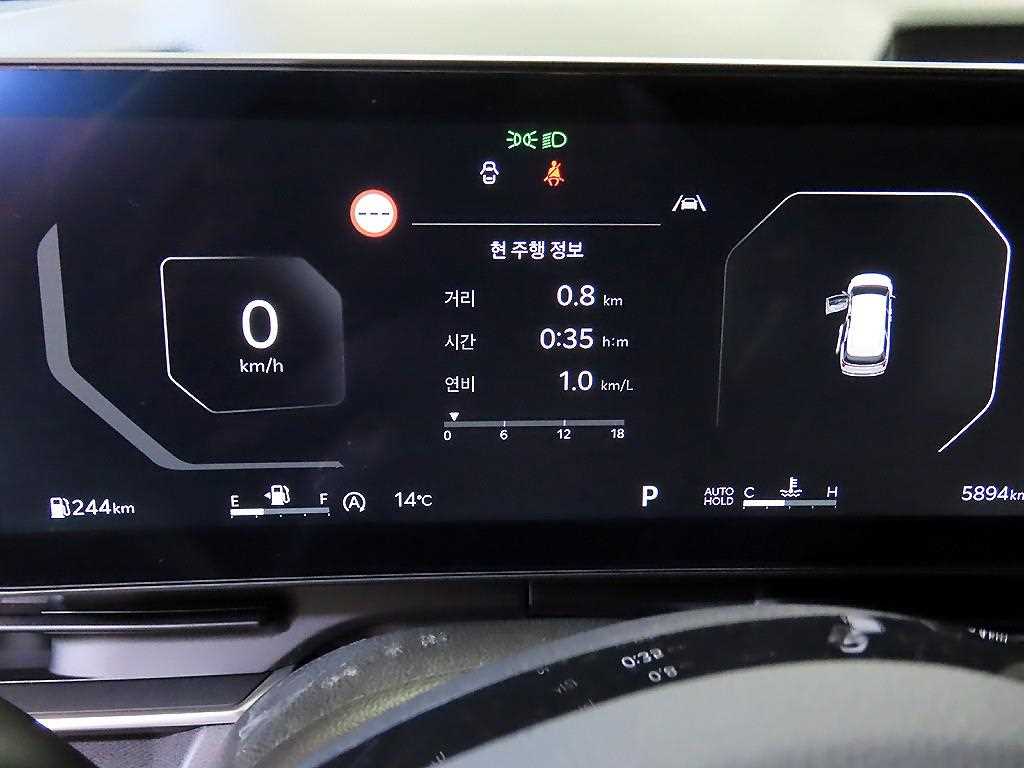 KIA Carnival - Vista 9