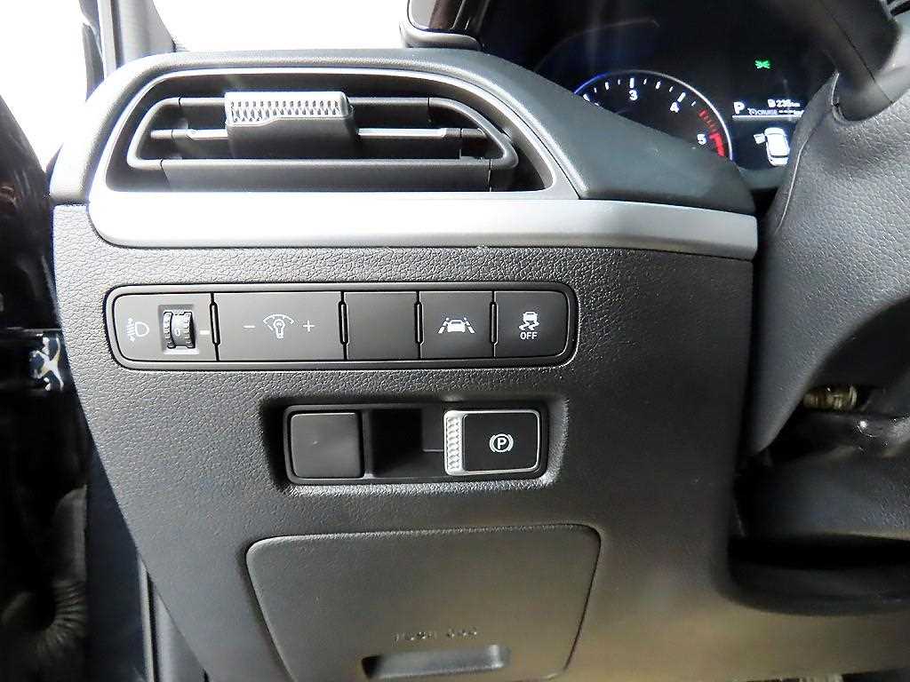 HYUNDAI Palisade - Vista 12