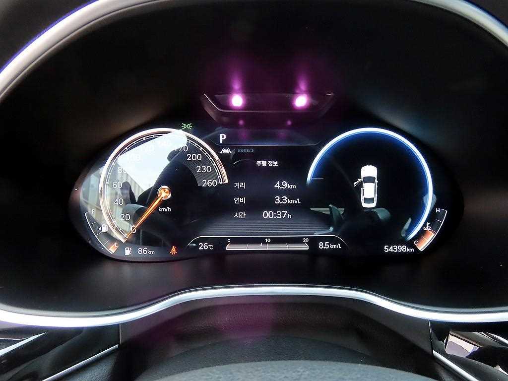 Genesis G80 - Vista 9