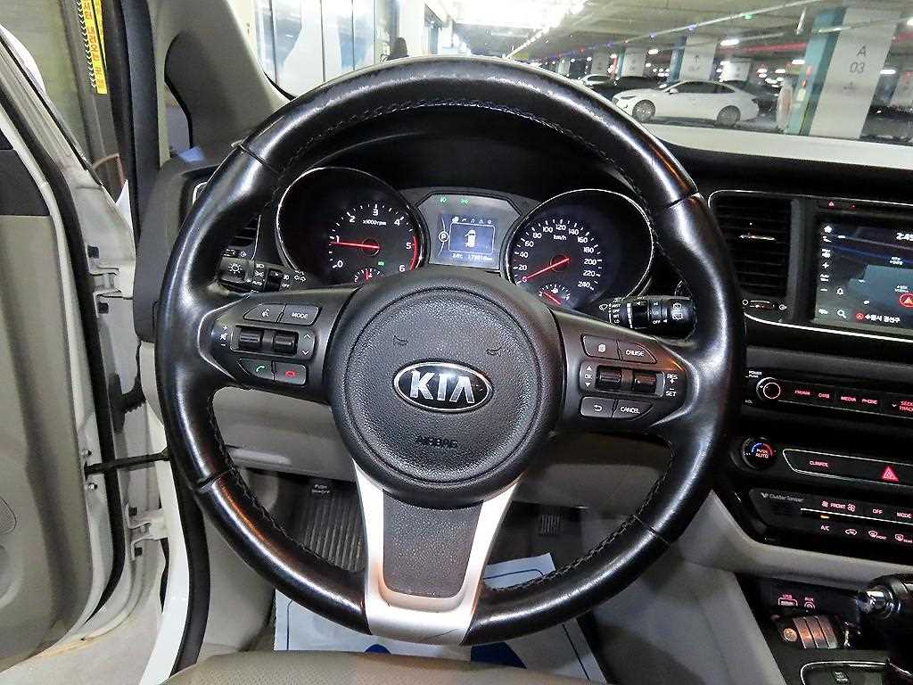 KIA Carnival - Vista 8