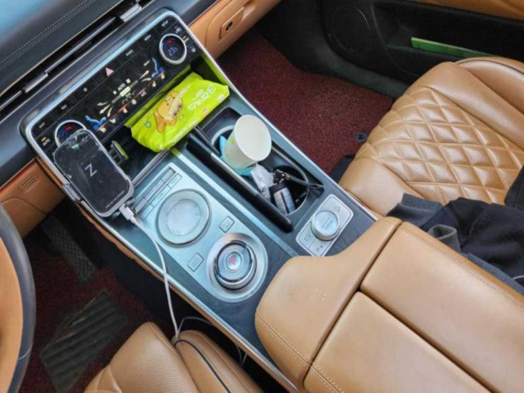 Genesis GV80 - Vista 12